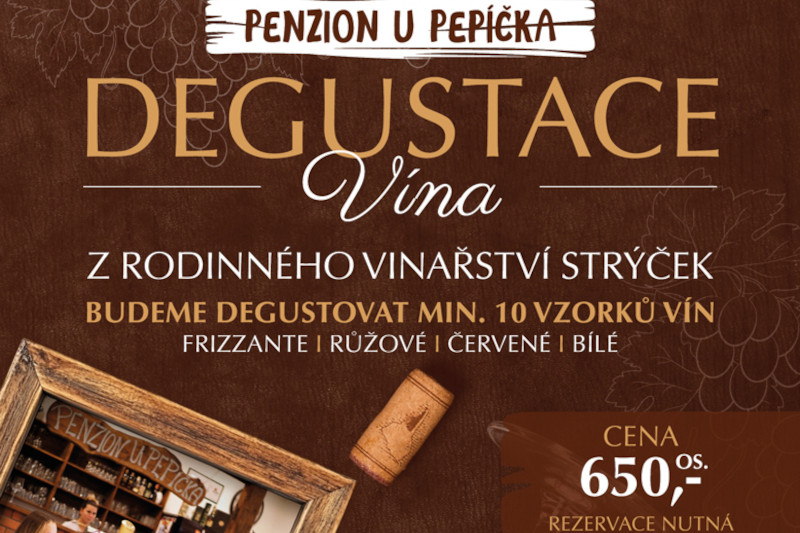 Degustace vín
